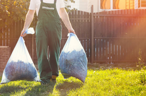 Best Shed Removal  in Des Moines, WA